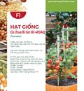 Hạt giống Cà chua bi lùn đỏ