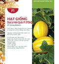 Hạt giống Dưa lê Hàn Quốc Tosa - Gói 5 Hạt