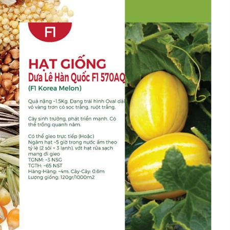 Hạt giống Dưa lê Hàn Quốc Tosa - Gói 5 Hạt