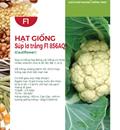 Hạt giống Súp lơ trắng F1 Rado 346  - Bông cải trắng